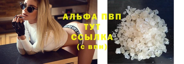 прущие крисы Новодвинск