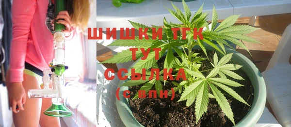 apvp Новозыбков