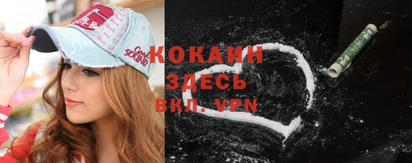 apvp Новозыбков