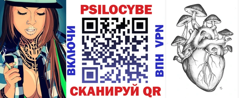Псилоцибиновые грибы Cubensis  Райчихинск 